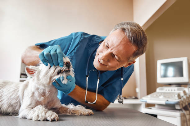 Best Emergency Wisdom Teeth Removal in Amelia, OH